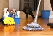 Как избавиться от пыли в доме